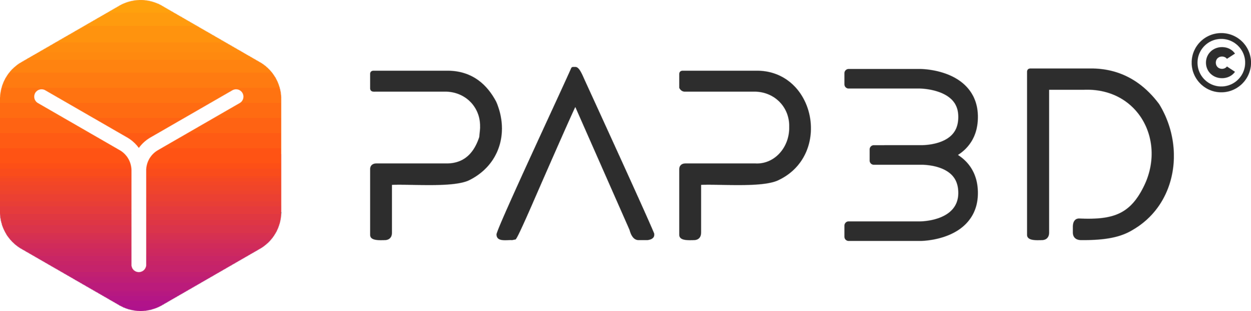PAP3D